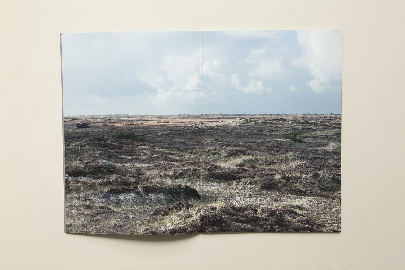 Caption for Image 1