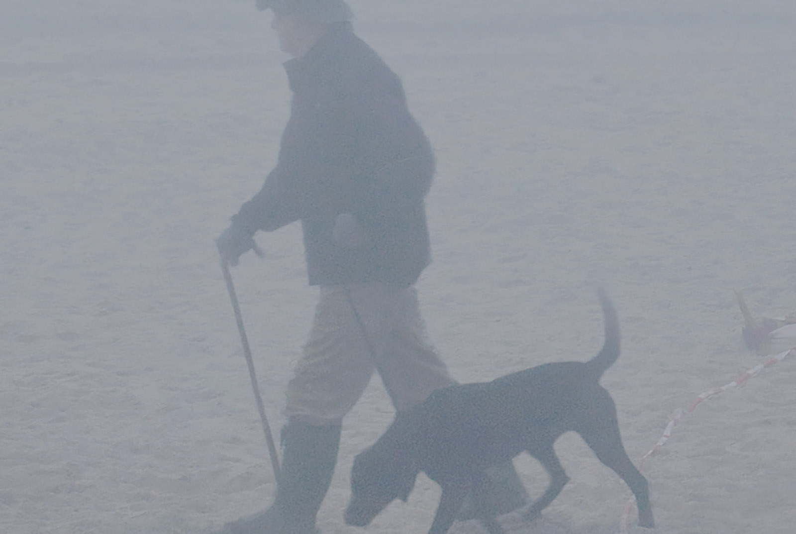 Caption for Image 1