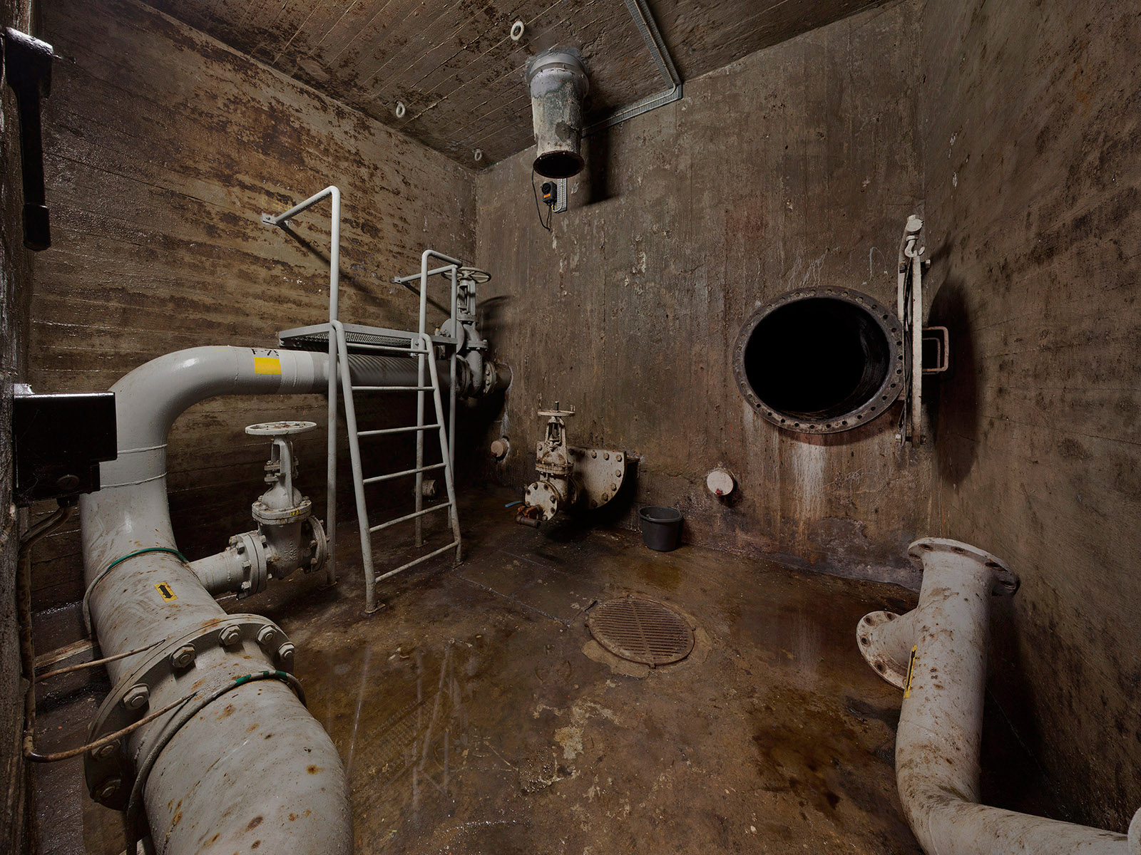 Caption for Image 1
