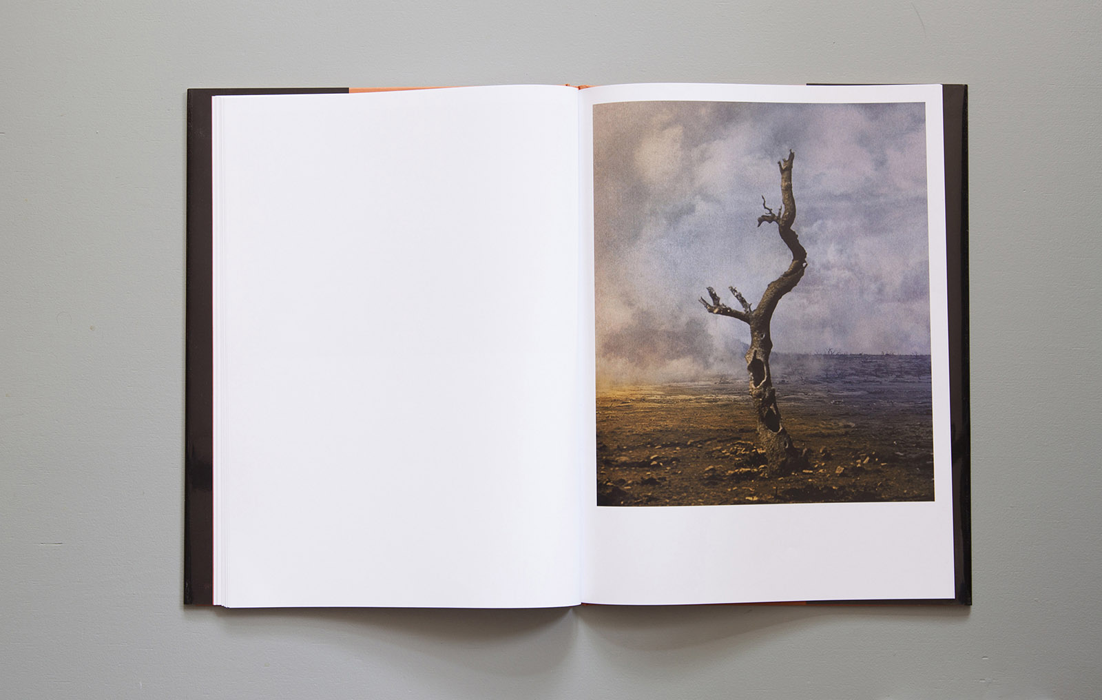 Twelfth Image