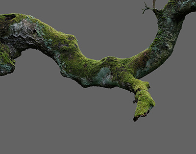 Deformation of No Man's Land